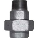 Horganyzott hollander 3" KB