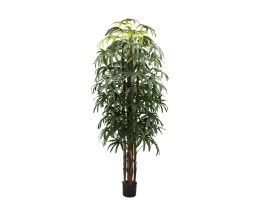 Wellis - Botpálma műnövény 200cm