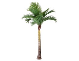 Wellis - Kókuszpálma műnövény 310cm