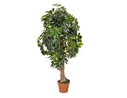 Wellis - Sugárarália műnövény 150cm